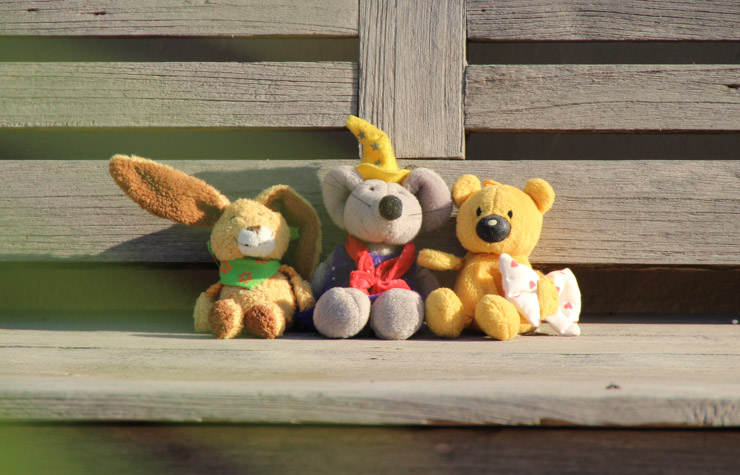 Teddy mit Freunden in Portugal